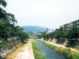 芦屋川